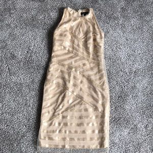 Tadashi Shoji tulle champagne dress 4